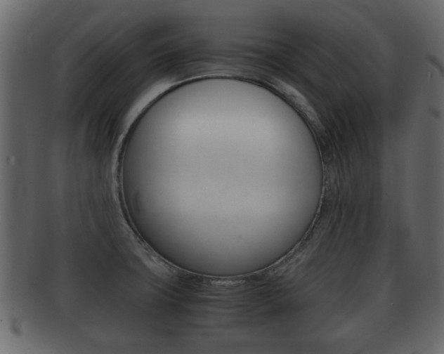 X0000092311427200709141022