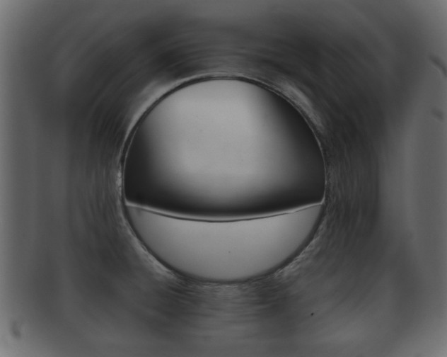 X0000092311428200709141022