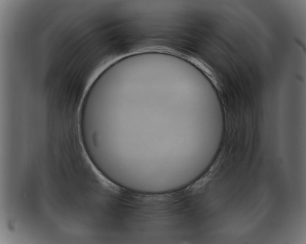 X0000092311430200709141022