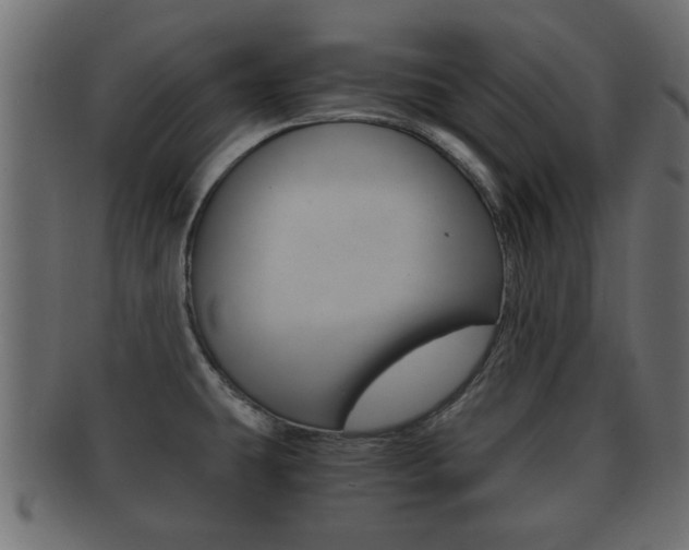 X0000092311431200709141022