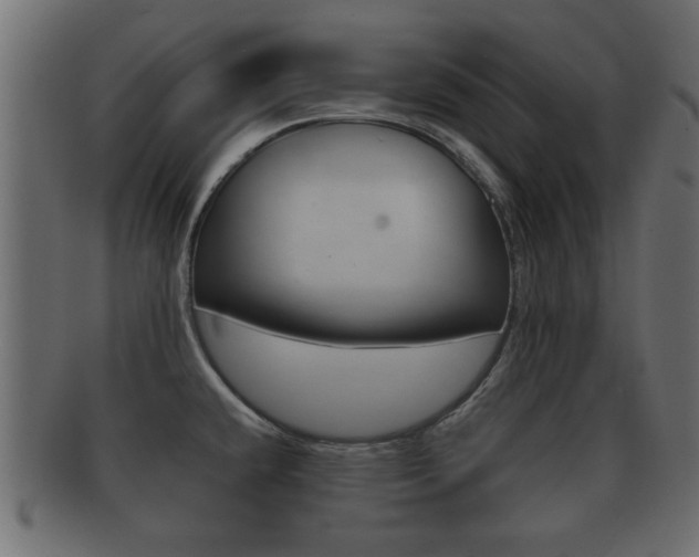 X0000092311432200709141022