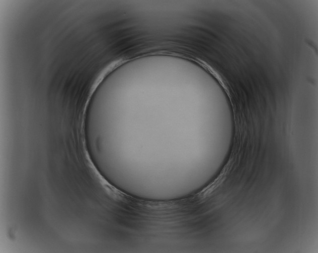 X0000092311434200709141022