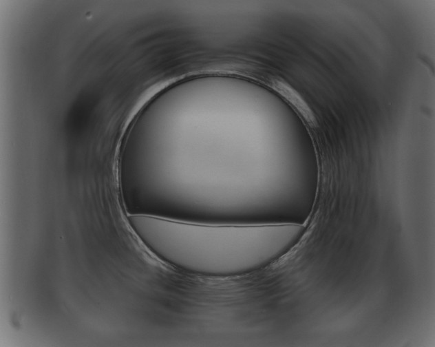 X0000092311436200709141022
