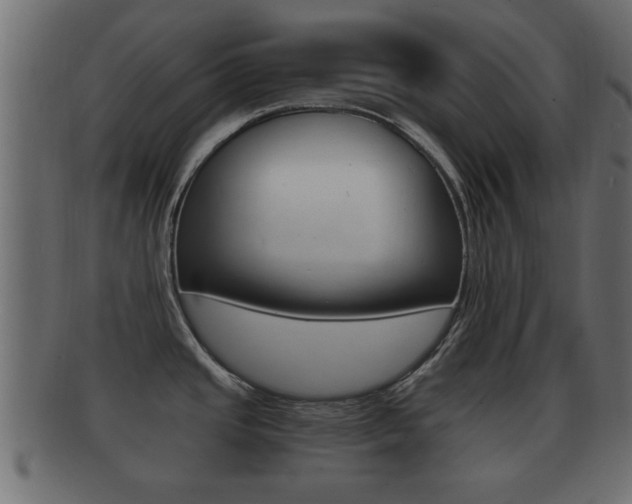 X0000092311437200709141022