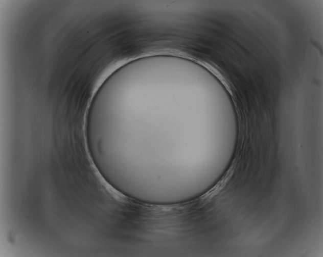 X0000092311438200709141022