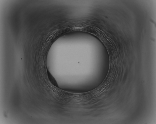 X0000092311441200709141021