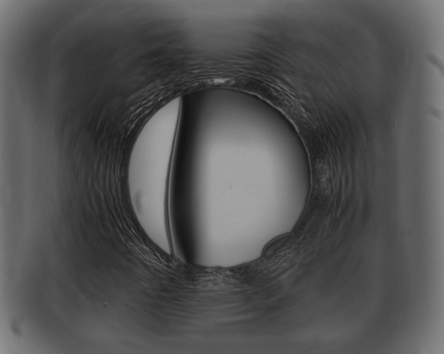 X0000092311442200709141021