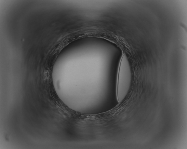 X0000092311445200709141021