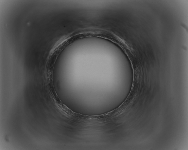X0000092311448200709141021