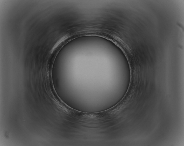 X0000092311450200709141021