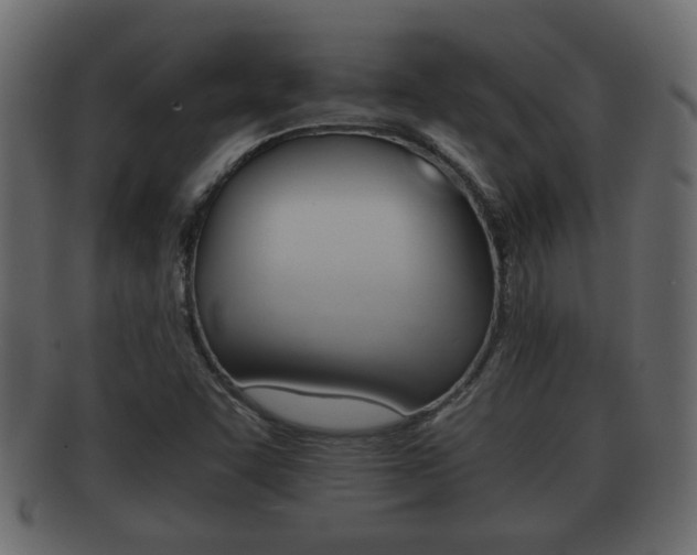 X0000092311455200709141021
