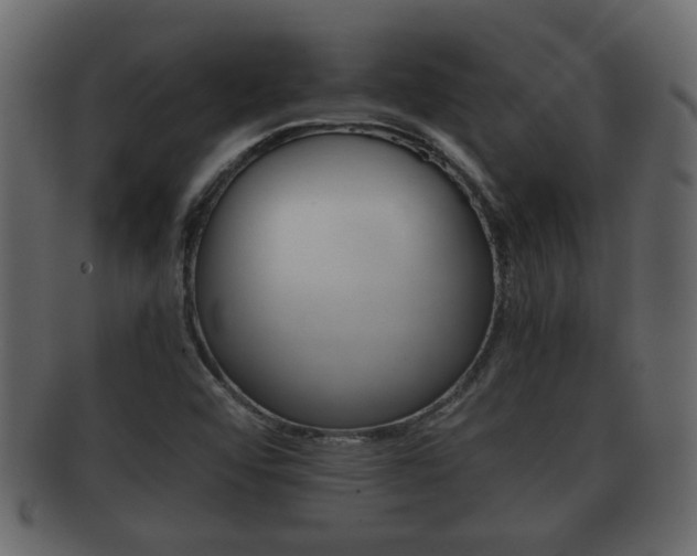 X0000092311456200709141021