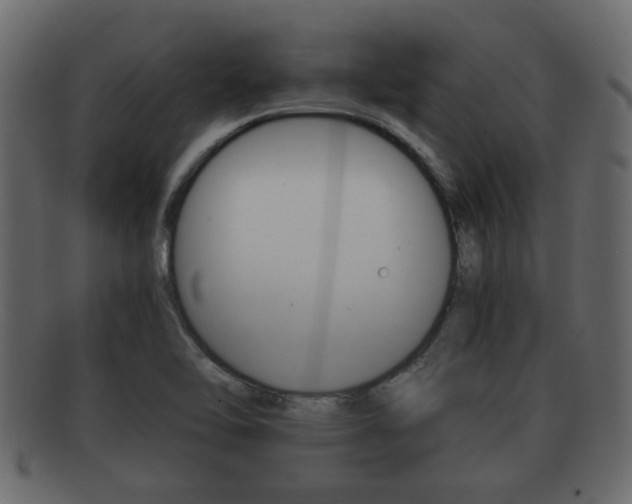 X0000092311462200709141021