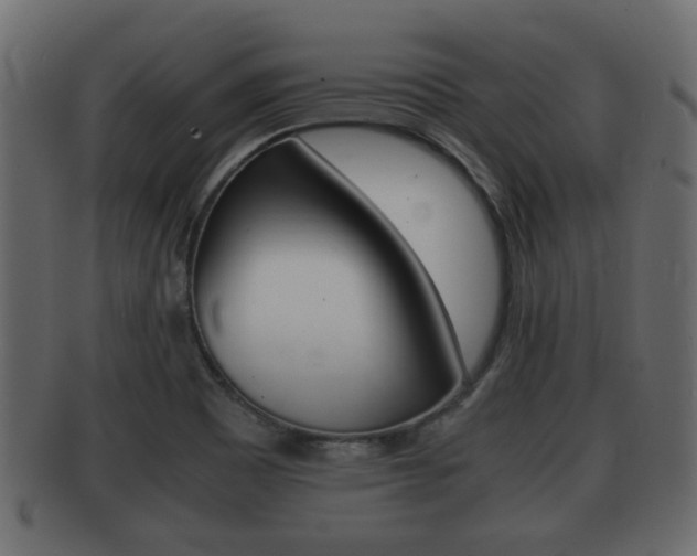 X0000092311465200709141021