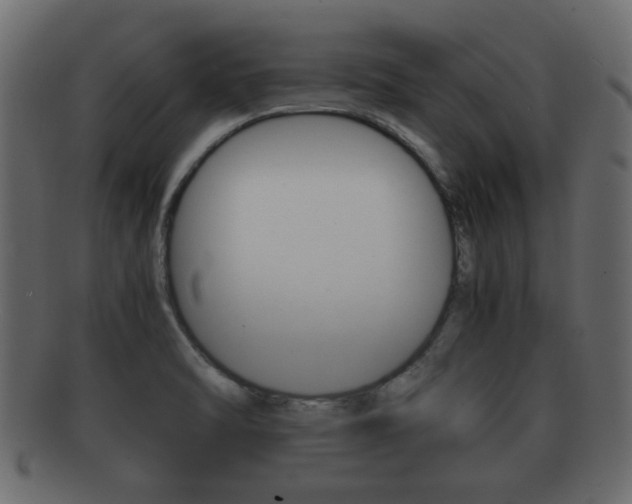 X0000092311470200709141021