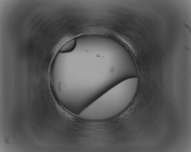 X0000092311471200709141021