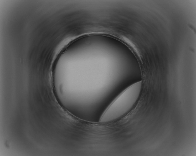 X0000092311472200709141021