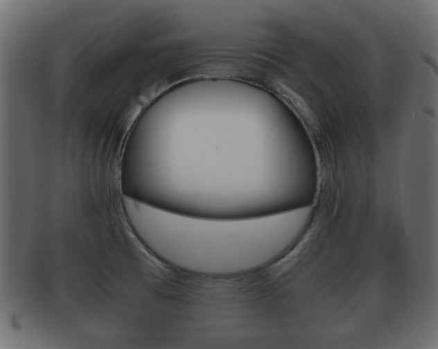 X0000092311473200709141021