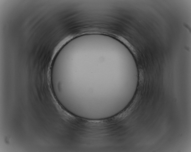 X0000092311474200709141021