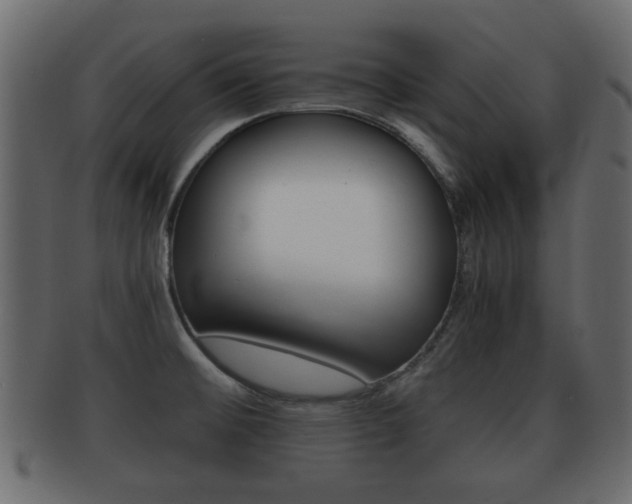 X0000092311476200709141021