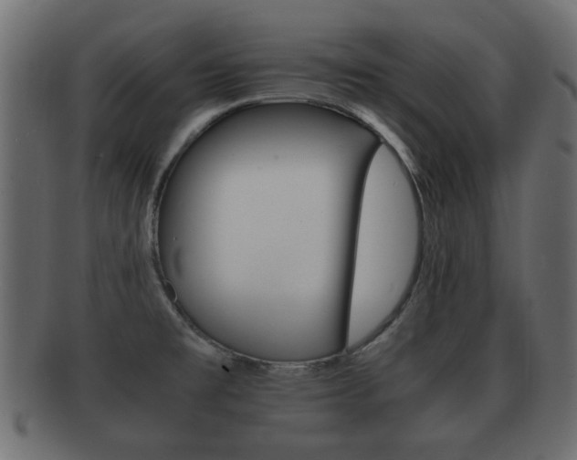 X0000092311477200709141021
