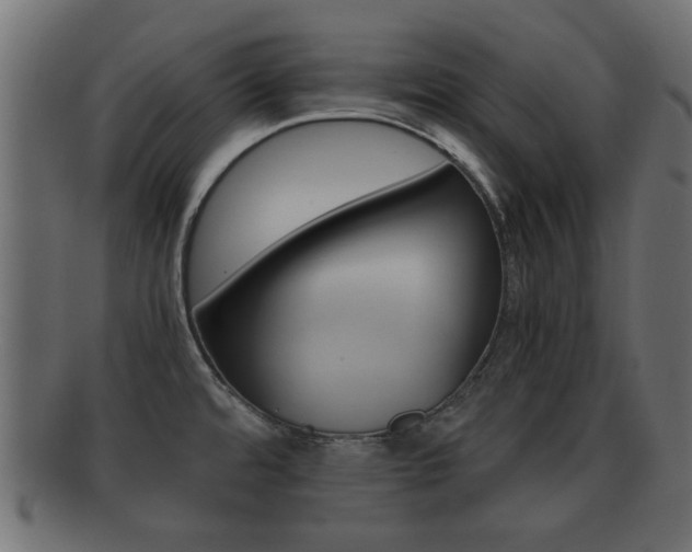 X0000092311480200709141021