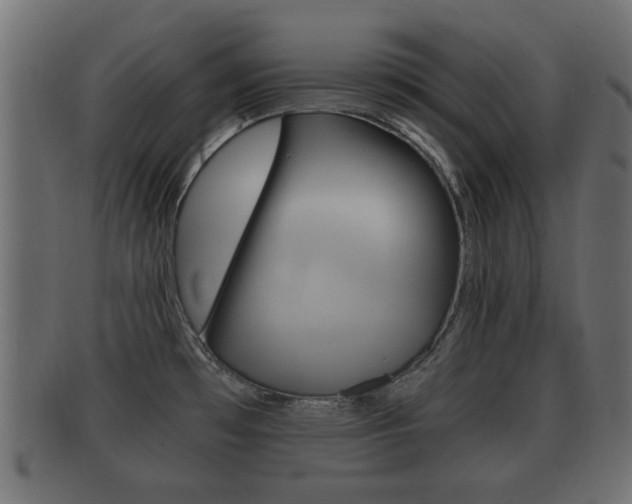 X0000092311481200709141021