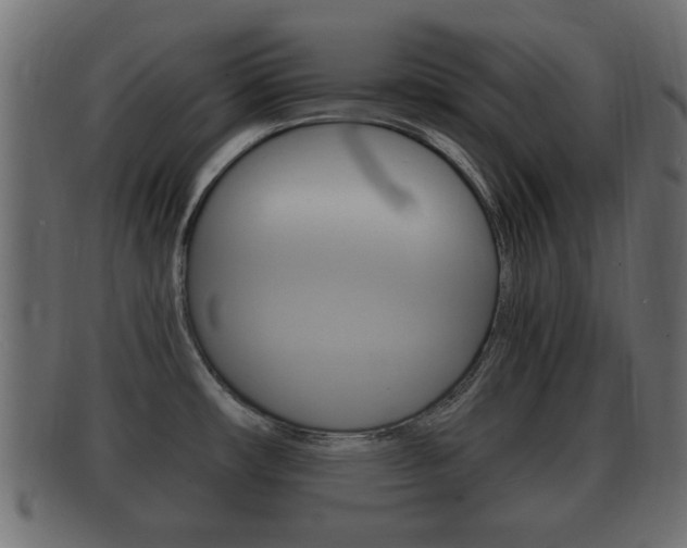 X0000092311482200709141021