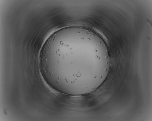 X0000092311483200709141021