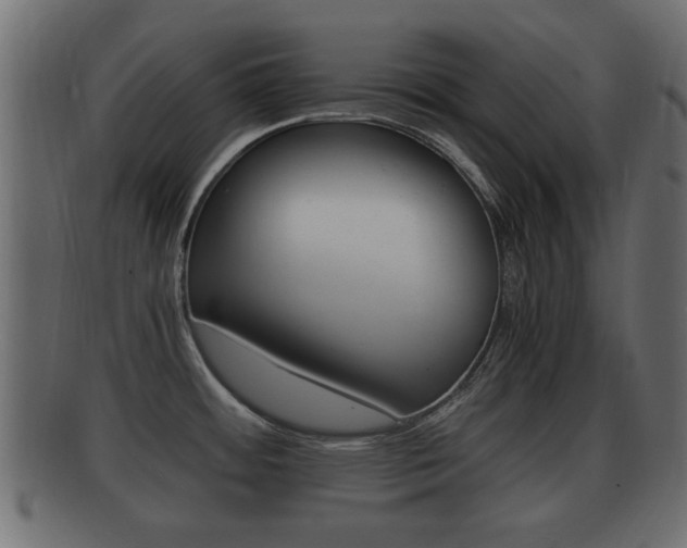 X0000092311484200709141021