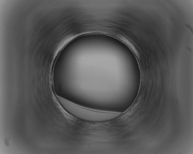 X0000092311485200709141021