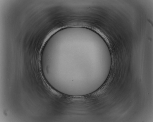 X0000092311486200709141021