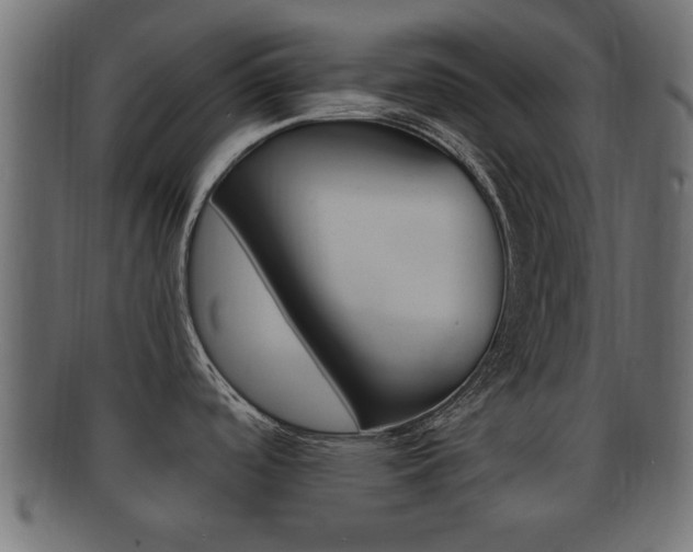 X0000092311488200709141021