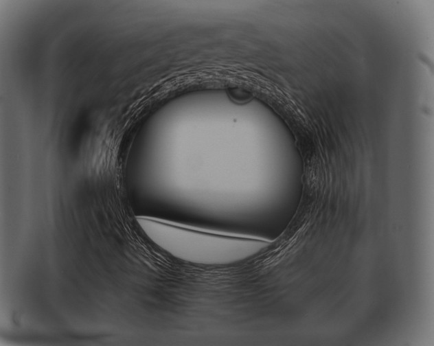 X0000092311490200709141020