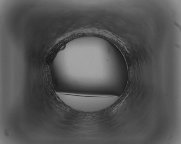 X0000092311494200709141020