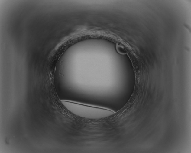 X0000092311495200709141020