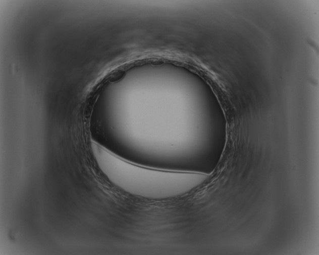 X0000092311496200709141020