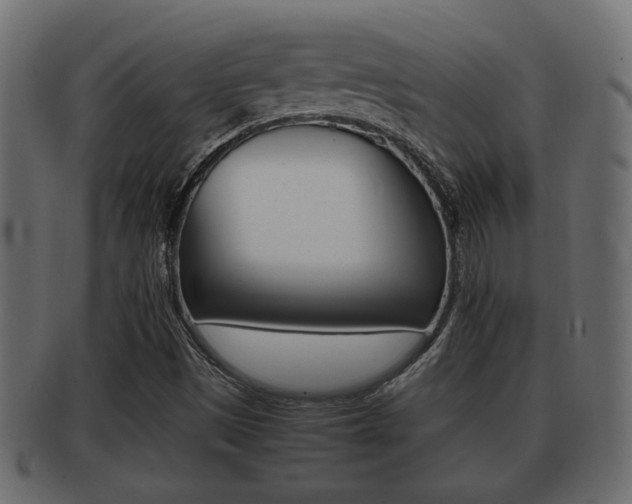 X0000092311497200709141020