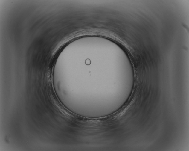 X0000092311498200709141020