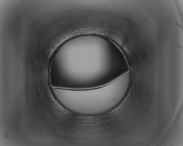 X0000092311500200709141020