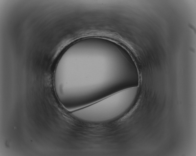 X0000092311501200709141020