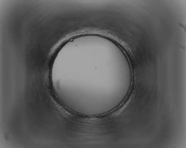 X0000092311502200709141020