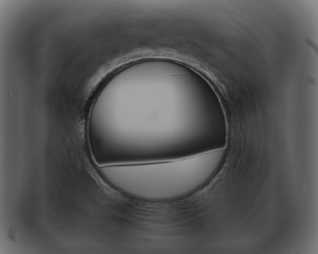 X0000092311503200709141020