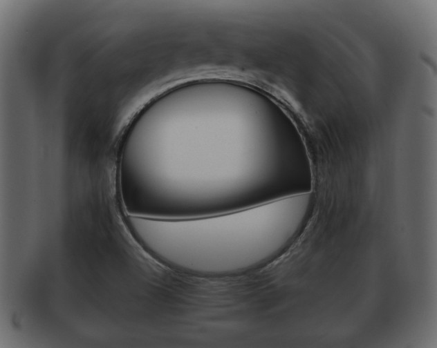 X0000092311504200709141020
