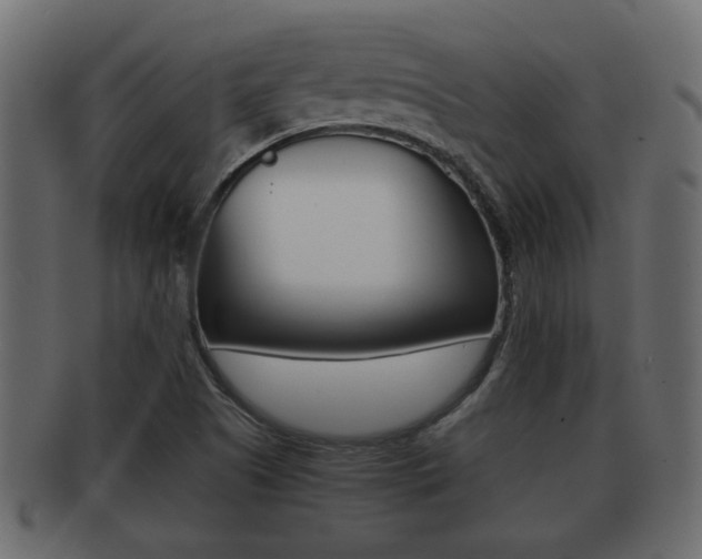 X0000092311505200709141020