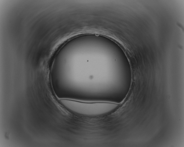 X0000092311507200709141020