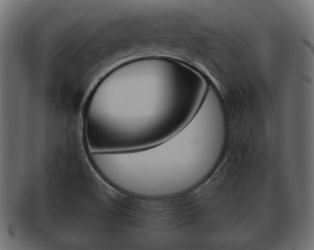 X0000092311508200709141020