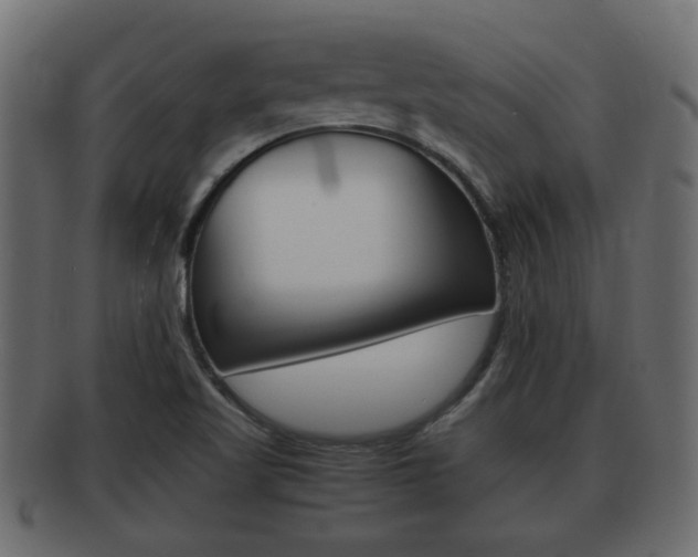 X0000092311509200709141020