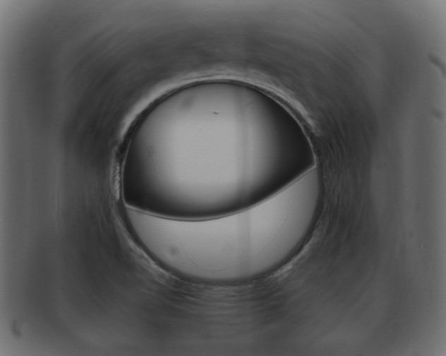 X0000092311510200709141020