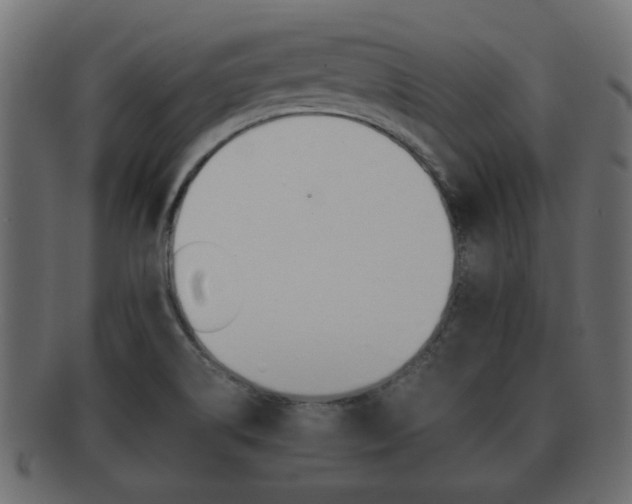 X0000092311514200709141020